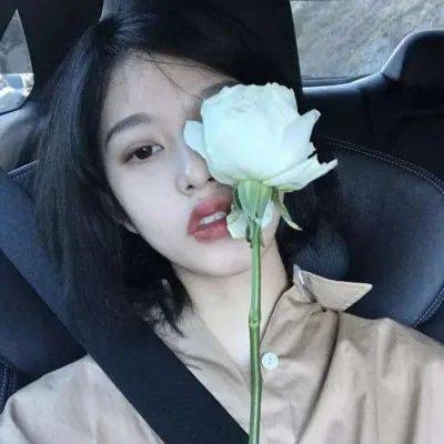 神隐少女手游下载