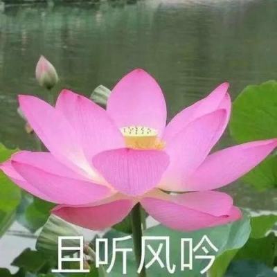 李宝珠：豪情奔放的书画家
